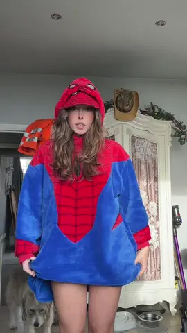 🕷️