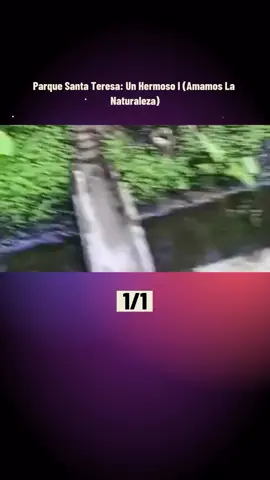 Parque Santa Teresa: Un Hermoso Invernáculo... Amamos La Naturaleza