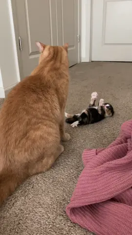 WHY IS SHE DOING THAT DJFJFKD