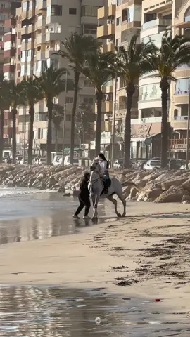 #خيل_عربي_اصيل #خيال #خيل_وخياله🐎 #خيل_عربي_اصيل🐎🐎 #خيل #horse #trending #explore #bomming #viralvideo #horseriding #fyp #foryou #foryou #goviral #بطل #بطولة #سبحان_الله #مشاهير_تيك_توك #مشالله🧿❤️ #خيول #beach #بحر #شط #الاقو #قوة #قووووووية #قطر #لبنان_مصر_الخليج_سوريا #بنت_البلد #شرق_الاوسط 