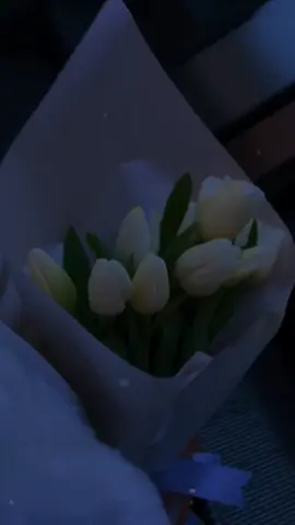 #anam #anamahnisi #keşvetedüş #fypシ 