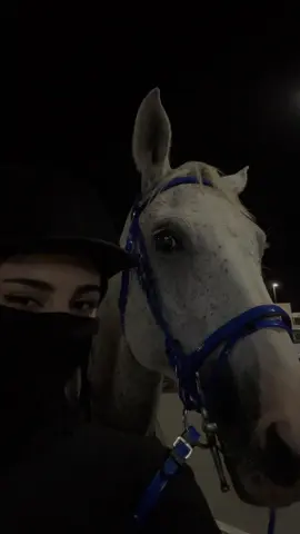 يا أوفى العلاقات في زحمة علاقاتي 🤍🐎#fypシ #foryoupage #اكسبلورexplore #foryou #رمضان #🐎 #🤍 #خيل_وخياله🐎 #🐎 