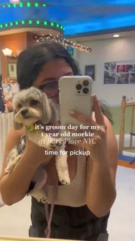 time for warm weather cuts 🐶 #barkplacenyc #morkiesoftiktok #morkiepuppy #doghaircut #doghairstyle #doghaircutcheck #groomday 