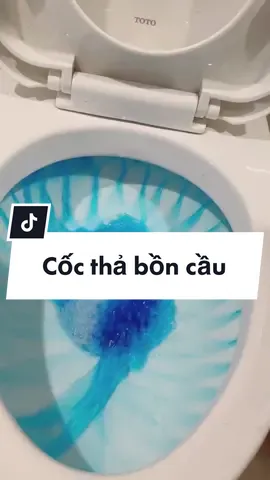 Cốc thả bồn cầu #baovudayreview #fyp #dqn #xuhuong 