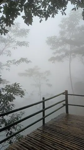 versi kabut 📍nglimut, jawa tengah, indonesia #kabut #kendal #storyestetik #storysingkat #pemandangan #storyestetiklagu #hujan #storymusikasik #estetikvideo #storyhujan #sadvibesstory #lirikvideoestetik #storymenyentuhhati 