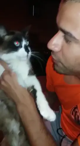 #videosengracados #palmeiras  #opalmeirasnaotemmundial 