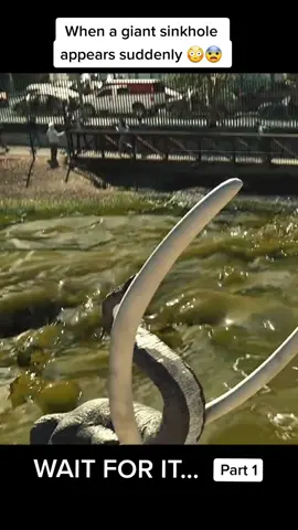 Action from beginning to end that will keep you hooked #movie #movieclips #disaster #disastermovie #labrea #series #tvshow #fypシ #goviral 