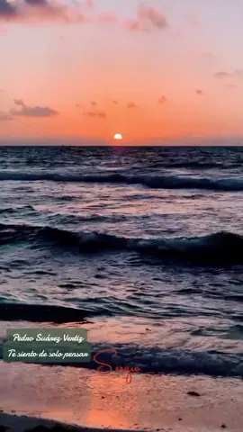 #pedrosuaresvertiz - te siento de solo pensar #baladas #baladasromanticas #bellamusica #rockperuano #rock #alternative #pop #fyp #fypシ #music #letrasdecanciones #lyrics #videolyrics #parati #fullvideos #foryou #musica