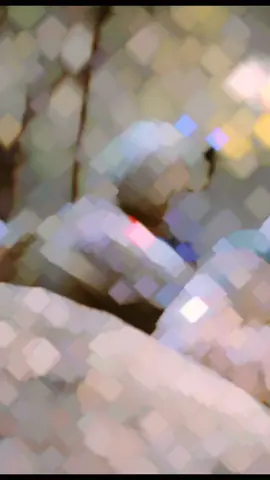 #tiktoklongs #تونس🇹🇳 #تونس #الجيش_التونسي #جيش_تونس🇹🇳 #العضيم #تونسي #fyp #القوت_الخاصه #fyb 