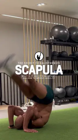 If you ever experience Shoulder Pain or Tightness? Try This! #scapularmobility #calisthenics #STRIQfit 