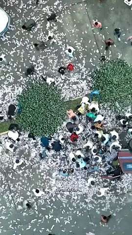 Power of money..💸  #power #of #money  #farzi #shorts #movies 