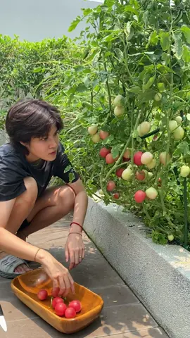 ช่วงนี้เค้าฮิตหมี่งอแง แต่นี่”หมี่ร้อนโว้ยยย” 🥵🍜ร้อนจนฉันกลายเป็นบ้า #หมอเจี๊ยบ  #หมอเจี๊ยบลลนา #เจี๊ยบลลนา #บ้านหมอเจี๊ยบ #ปลูกผักกินเอง #ปลูกผัก #ทำอาหาร #อาหาร #อาหารสุขภาพ 