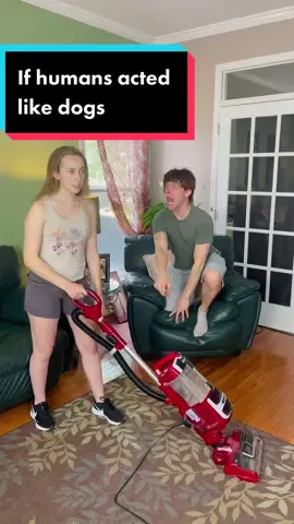 If humans acted like dogs #fyp #dogs #relatable #PetsOfTikTok 