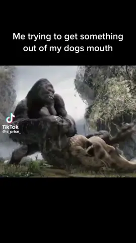 #fyp #CapCut #kingkong #dog #me#like#follow #share 