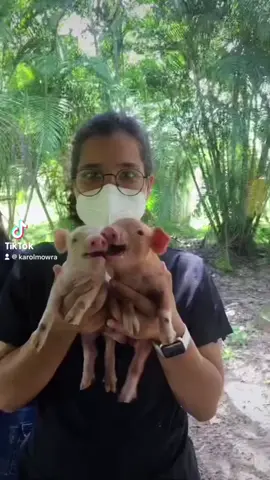 Amor da minha vida/razão do meu estresse #medicinaveterinaria 