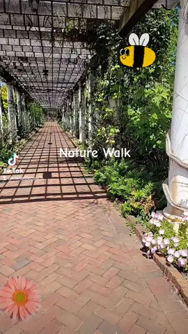 #naturewalk #fyupage