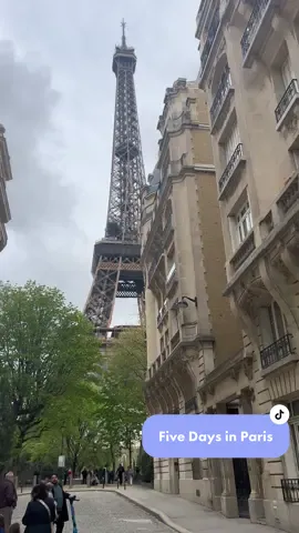 Five days in Paris was a dream. #paristravels #parisvacation 