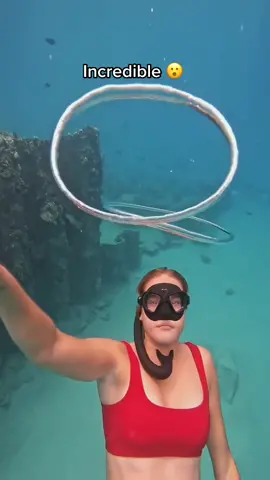 The perfect bubbles 🌊 🫧 (via @oceangalzz) #bubble #ocean #summervibes 