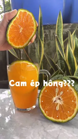 Trời nóng quá thì làm ngay ly cam ép nha😊#BookTok #ngoxuangiau #xuhuong #2023 #giaikhat #muahe #nóng #camep #mongnuoc #nguyenchat 