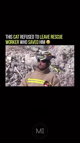 This cat knows the meaning of gratitude! #catsoftiktok #catvideo #catrescuer #catlover #cattok #mentalimpulse #fyp 