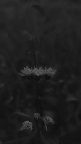 Tempat dan waktu dipersilahkan. 🤏🏻 #fypシ #hendivv🌜 #bismillahfyp #foryou #qoutes #hijrahyuk #unity_🖤🎧 #fyp #madura #foryoupage #masukberanda 