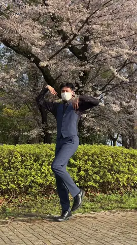 桜の下でtacotakoダンス#tacotaco #dance #suit 