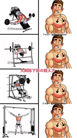 大胸筋下部の鍛え方❗️ #筋トレ #ボディメイク #筋トレ動画 #筋トレ初心者 #ワークアウト #フィジーク #胸トレ #ヒカキンボイス 
