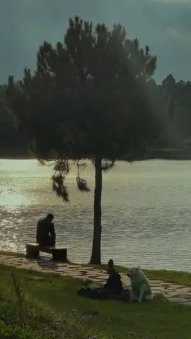 cảm ơn và xin lỗi…                                    #StoryTâmTrạng #lyrics #nguyenlan161 #edit #foryou #fypシ #capcut #xuhuong 