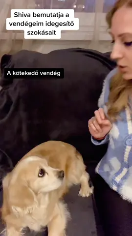 Köszönöm a vendégszereplést Shivi😁❤️#lyolán #freeTimi #nekedbemost #magyartiktok #tájmi 