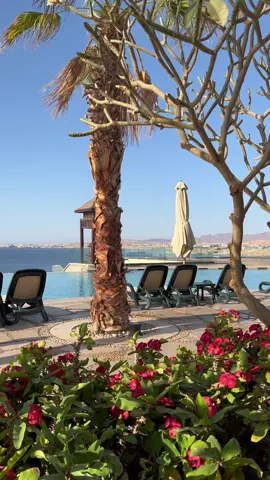 Найкращий готель Шарма 💙☀️ #sharmelsheikh#sharmelshiekh#egypt#egyptian_tik_tok#egypttiktok#шармэльшейх#готельєгипет#єгипет#єгипет2023#єгипет