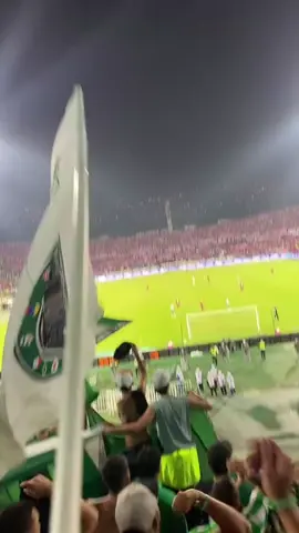 Vas A Llorar😭 Rojo🤣😂 #clasicopaisa #nacionalvsmedellin #losdelsur #lds #medellin #45añosdemorosalircampeon #🇨🇴 #familiaverdolaga #soydelverde #vasallorarrojohpta @LOS DEL SUR OFICIAL 