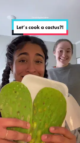 Here’s to me showing my face? Idk, it’ll take me a while to get used to it but looking for ways to switch up how I share my content😂  • This was my first time trying a cactus/nopal and of course I had to force my bestie to be in the video too🤪 I was surprised that it tasted good! Didn’t know what to expect, it is soft and it had that “charred” flavor bc I wanted it toasty! • 👇🏽✨Cactus! 🌵✨ • ɪɴɢʀᴇᴅɪᴇɴᴛꜱ: ✰1 cactus/nopal ✰Avocado oil ✰Salt ✰You can add pepper, onion + garlic powder too but I wanted to really taste it first! • ᴘʀᴇᴘᴀʀᴀᴛɪᴏɴ: •Season cactus, cook each side in avocado oil for 5-6 min and enjoy as a veggie side or starter!😉 • ➡️ @eatsbyluciana for more easy healthy recipes!💖 • • #wellnessinfluencer #dairyfree #healthyeats  #bloodsugarbalance #hormonalhealth #pcossupport #pcosfood #healthyveganrecipe  #veganrecipes #foodblogger #cactuslover #nopales #cactitiktok #nopalitos 