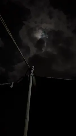 عباراتكم؟🤍 #fyp #foryou #foryoupage #fypシ #explor #اكسبلور 