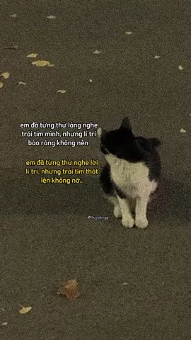 em biet lam sao #dtd1206 