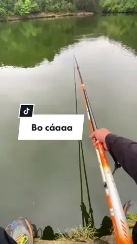 Nghe tiếng bo cá mà nó thích tai gì đâu #cancauca #docautheduyet #phukiencauca 