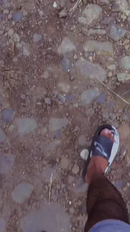 #romantic #live #is #good #fyp 🌲