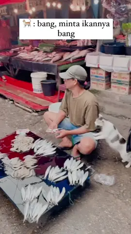 pengalaman pribadiku liat hal yg bikin senyum2 sndr ☺️ keakraban abang penjual ikan dgn kucing pasar..abangnya baik, ga keberatan pas gue rekam spontan moment langka yg jarang gue liat secara langsung 😌 endingnya sempet gue tnya itu kucingnya bang, dia blg bukan ini emang kucing dipasar sini…huu terharuuu..dia ga takut rugi demi berbagi sm anabul gemoy yg ga sungkan2 naik kepahanya 😅 mgkn krn terbiasa n mpusnya jg tau klo abangnya baik makanya dia berani 😁 makin bnyk rejekinya ya bang & makin laris dagangannya..amin  #fyp#foryourpage#kucing#capcut#kucingpasar#catlover#catsoftiktok 