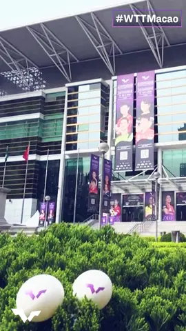 Here's the lowdown on Day 1 of #WTTMacao 🤩💥 #WTTChampions