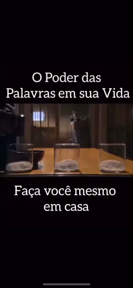 #poderdapalavra #palavradedeus #palavradehoje #espiritualidade #experimentodoarroz #mediumbrazil #orientadordaalma #portoalegre #espiritual #fe #palavras #amor #otimismo #conhecimento 