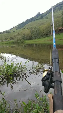 #pescaria #natureza #paz #viralvideo 