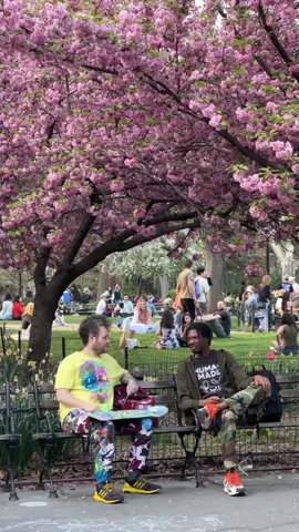 Spring is the best time to explore New York #newyork #newyorkspring #nyc 