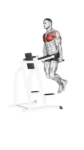 Paralelas nos teus peito! #foryou #paravocê #gym #academia #triceps #peitoral