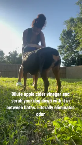 Saw this hack from another creator. And i will now be giving my dog ho3 baths regularly. 