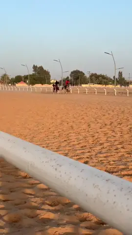مطيع الروابي🖤🖤.#خيل_عربي_اصيل #السرحان 
