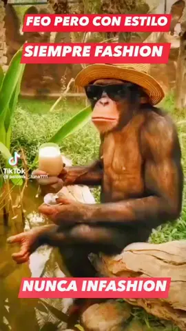 #fashion #feo #estilo #infashion #moda #meme #memes #hahaha #jajaja #tiktok #fun #funny #humor #latam 