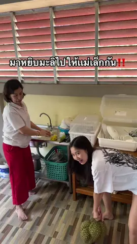 มะลิไม่ใช่ดอกไม้หรอ🥹#อีฟพรีมายา #แม่เล็กพรีมายา #ชะอวด #เที่ยวใต้ 