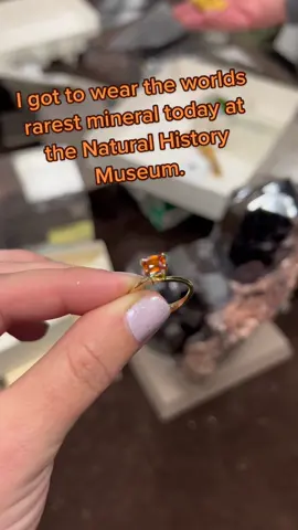 Literally had the best day ever behind the scenes at the Natural History Museum. I almost died when he handed this to us to look at. 💀 #geologist #geology #mineralogy #minerals #gems #rareminerals #mineralcollection #museumofnaturalhistory #rockscientist 