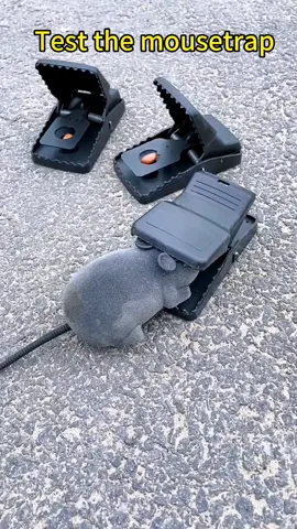 A snap trap is probably the easiest#tiktokmademebuyit #rat #mousestrap #mousetrap #traprat #rats #mouse #household #goodstuff 
