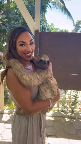One of the best days of me life. I have to own a sloth sanctuary one day #sloth #honduras #cruiseperformer #royalcaribbean 
