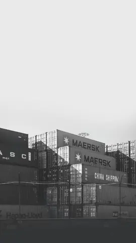 Las navieras son pieza clave del comercio internacional, moviendo millones de toneladas de carga a lo largo del mundo.  Su grandeza reside en la eficiencia y seguridad que ofrecen en el transporte marítimo.  Como dice el refrán: 